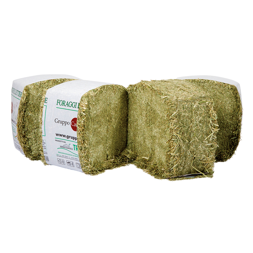 Erba Medica In Ballette Gruppo Carli
