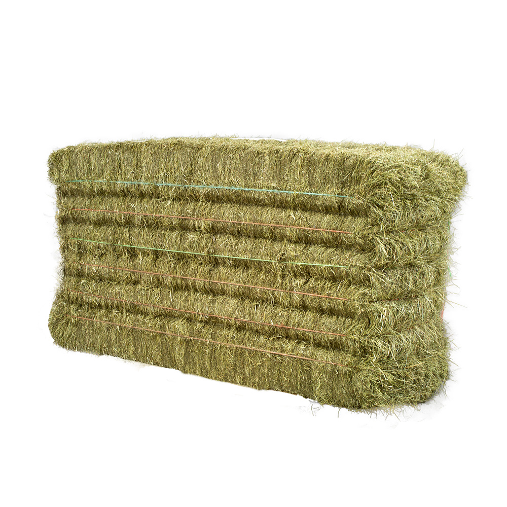 Italian Ryegrass Bales