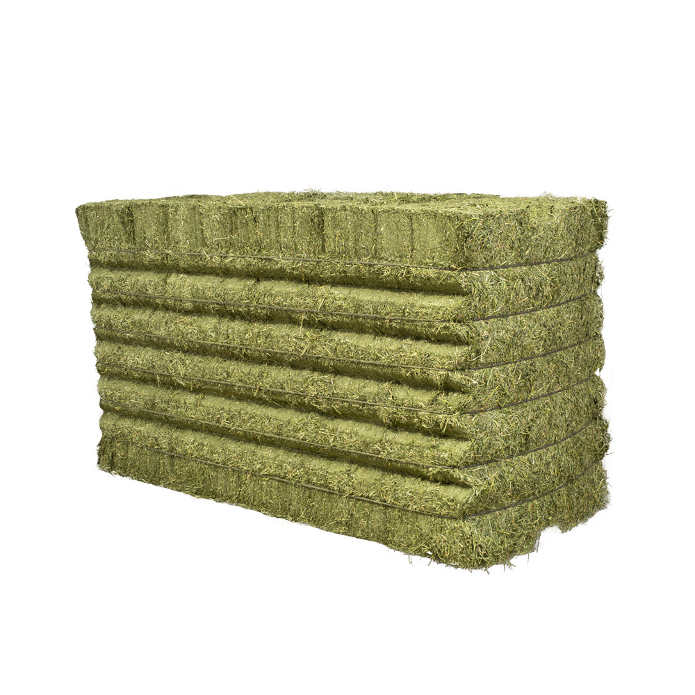 Italian Ryegrass Bales