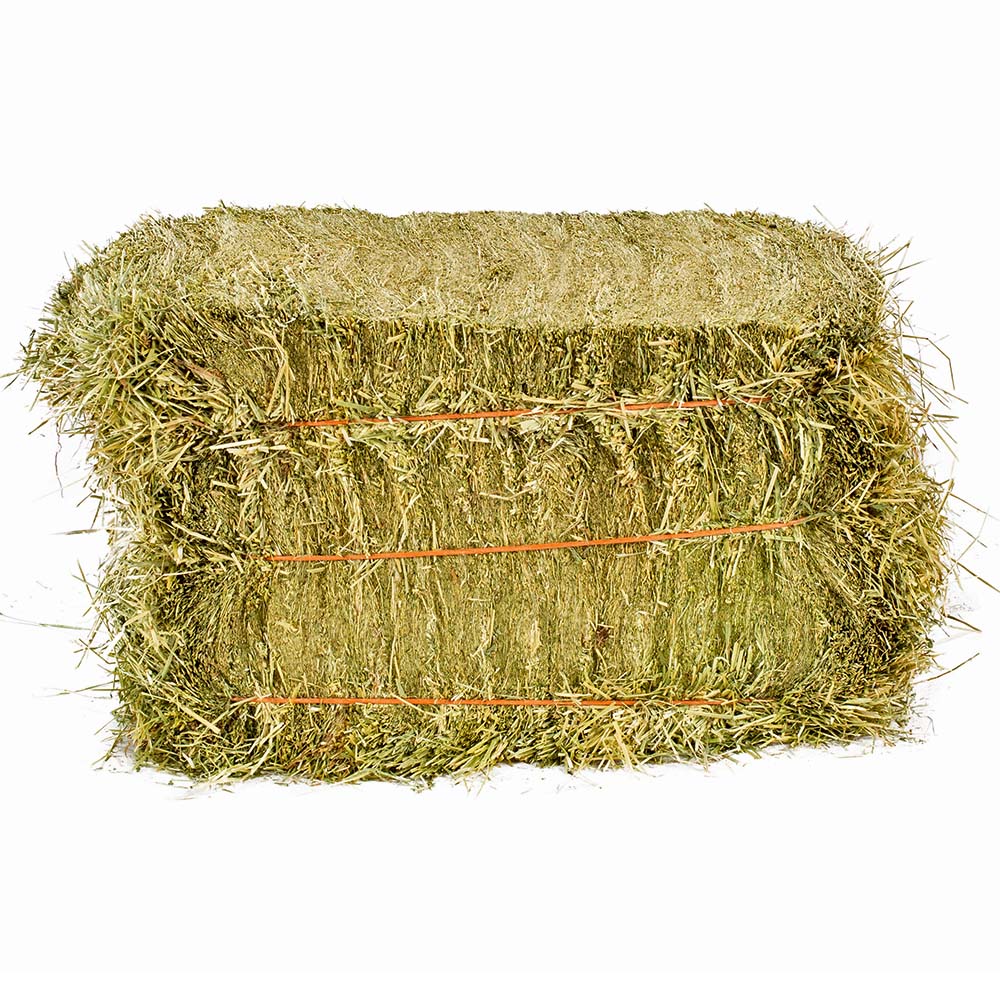 Italian Ryegrass Half Bales