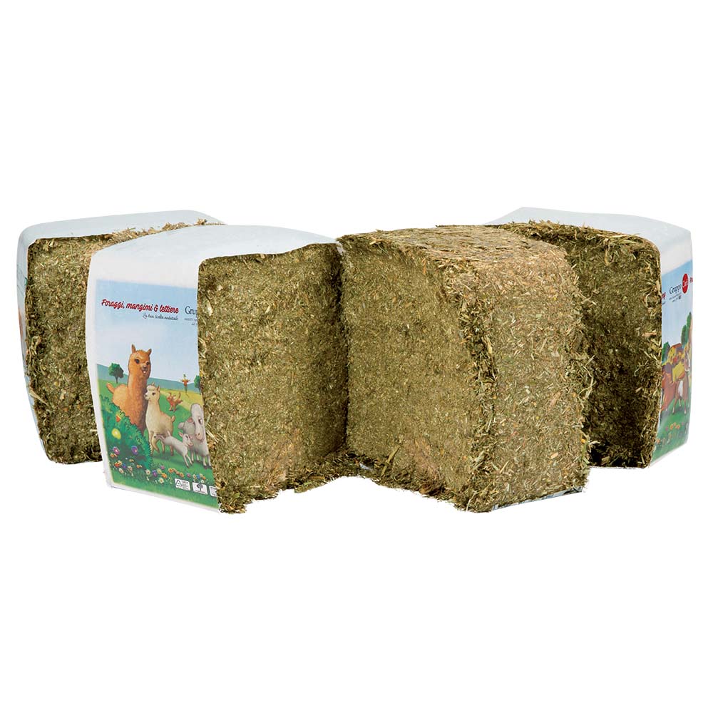 Italian Ryegrass Half Bales