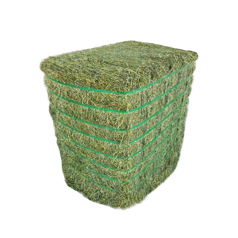 Fiber DCAD Hay
