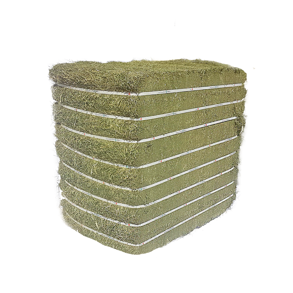 Italian Ryegrass Half Bales