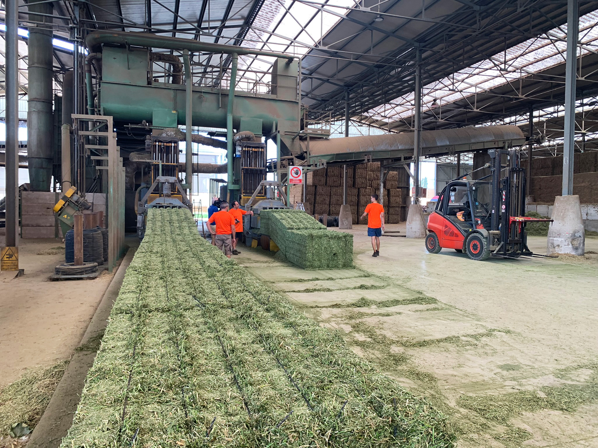 stabilimento gruppo carli