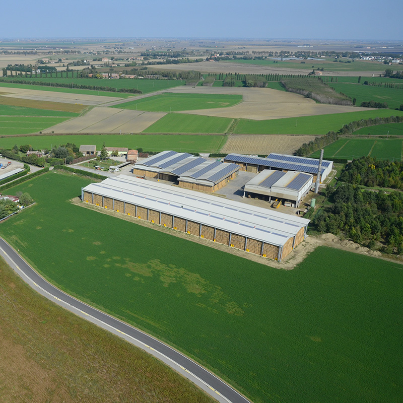 stabilimento gruppo carli