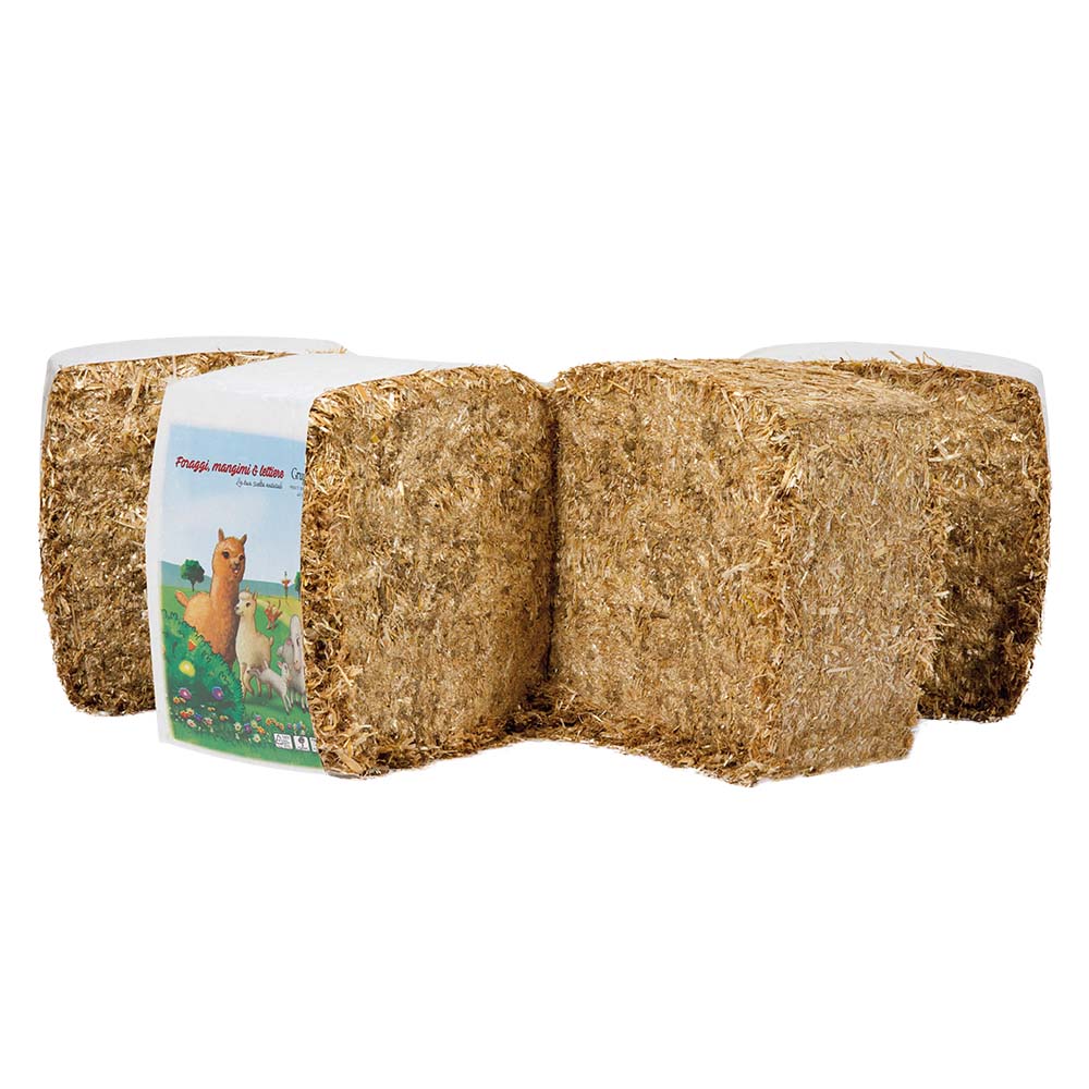 Italian Ryegrass Pellet