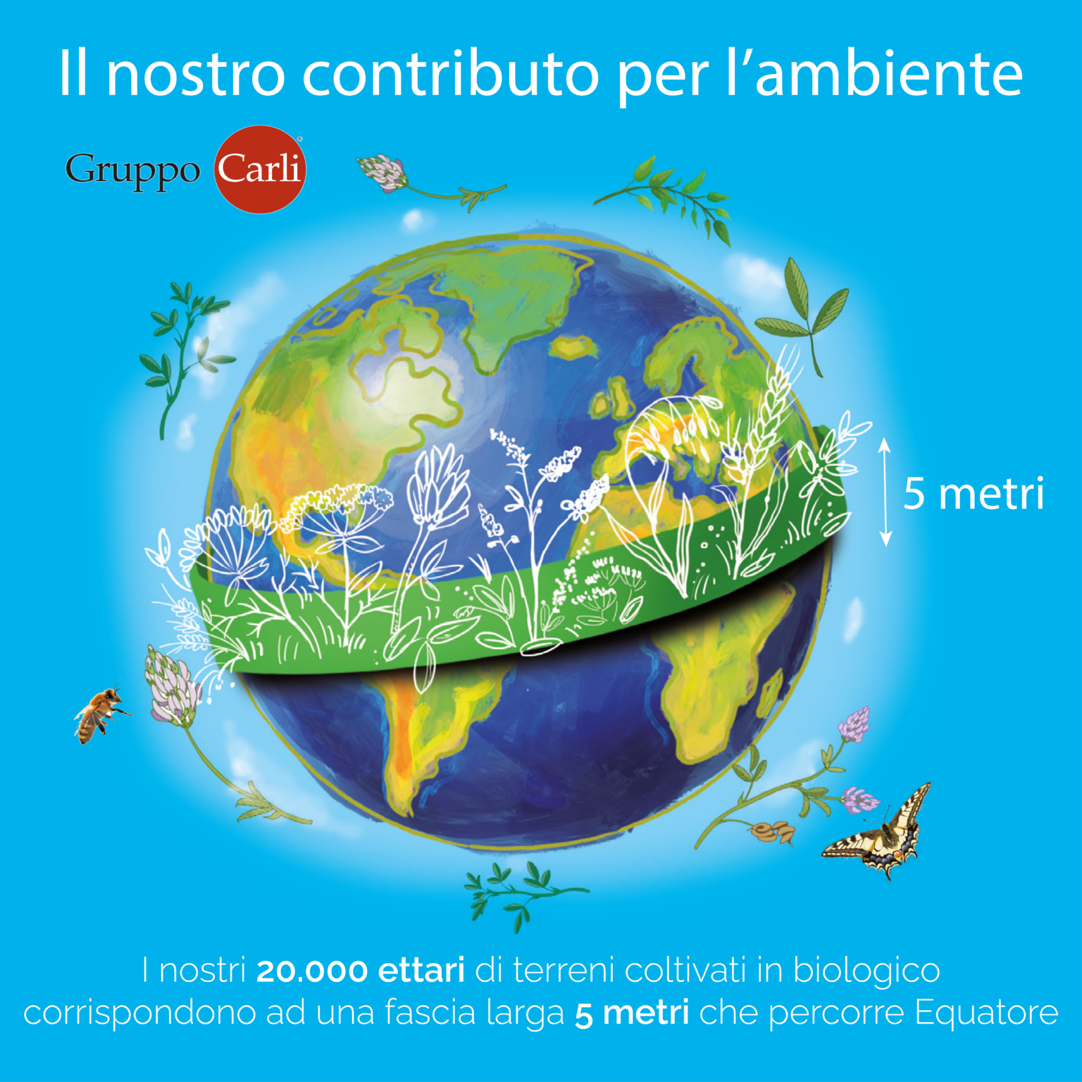 Istinto Per L erba Medica Gruppo Carli