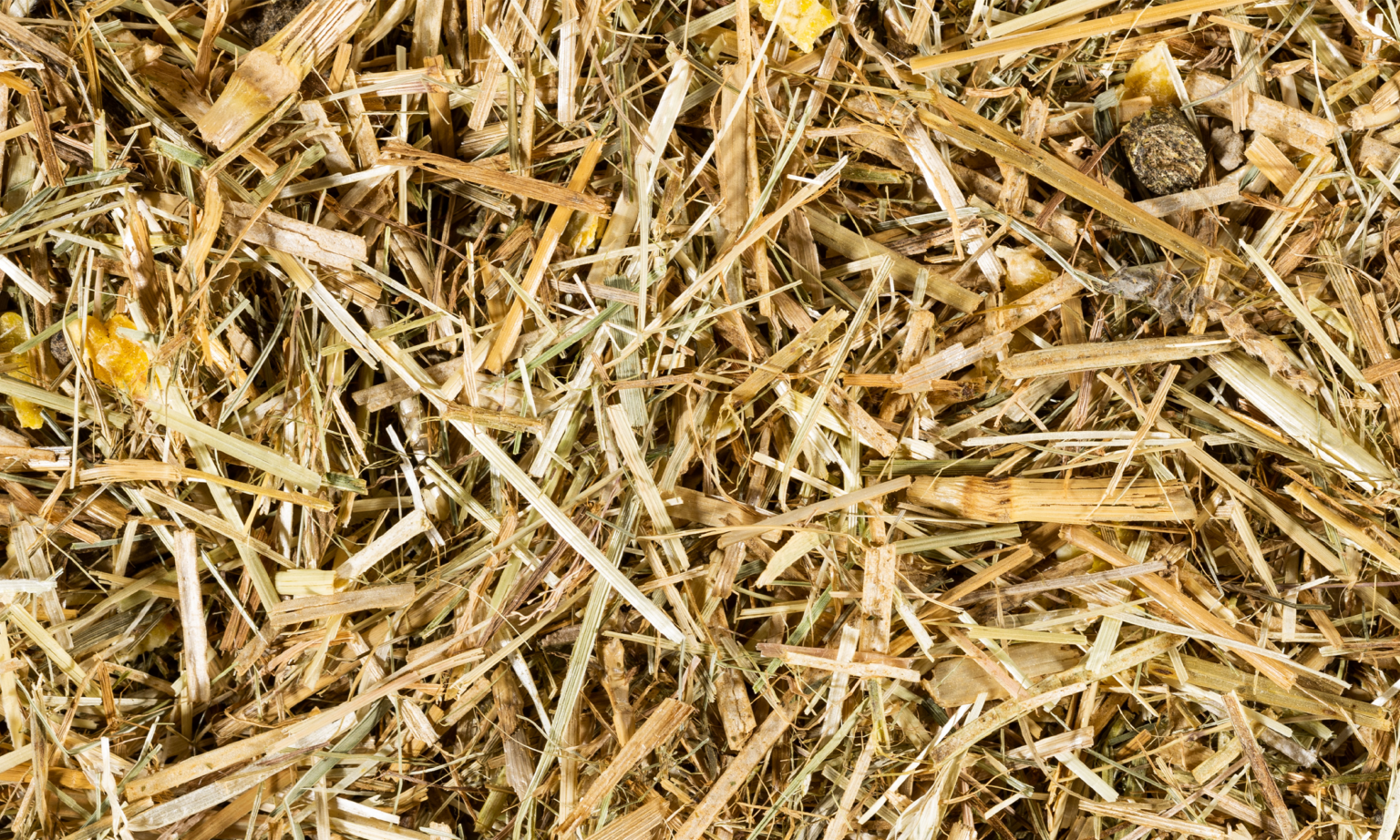 Cmelids CAMELIDS, the new Gruppo Carli feed line - Gruppo Carli