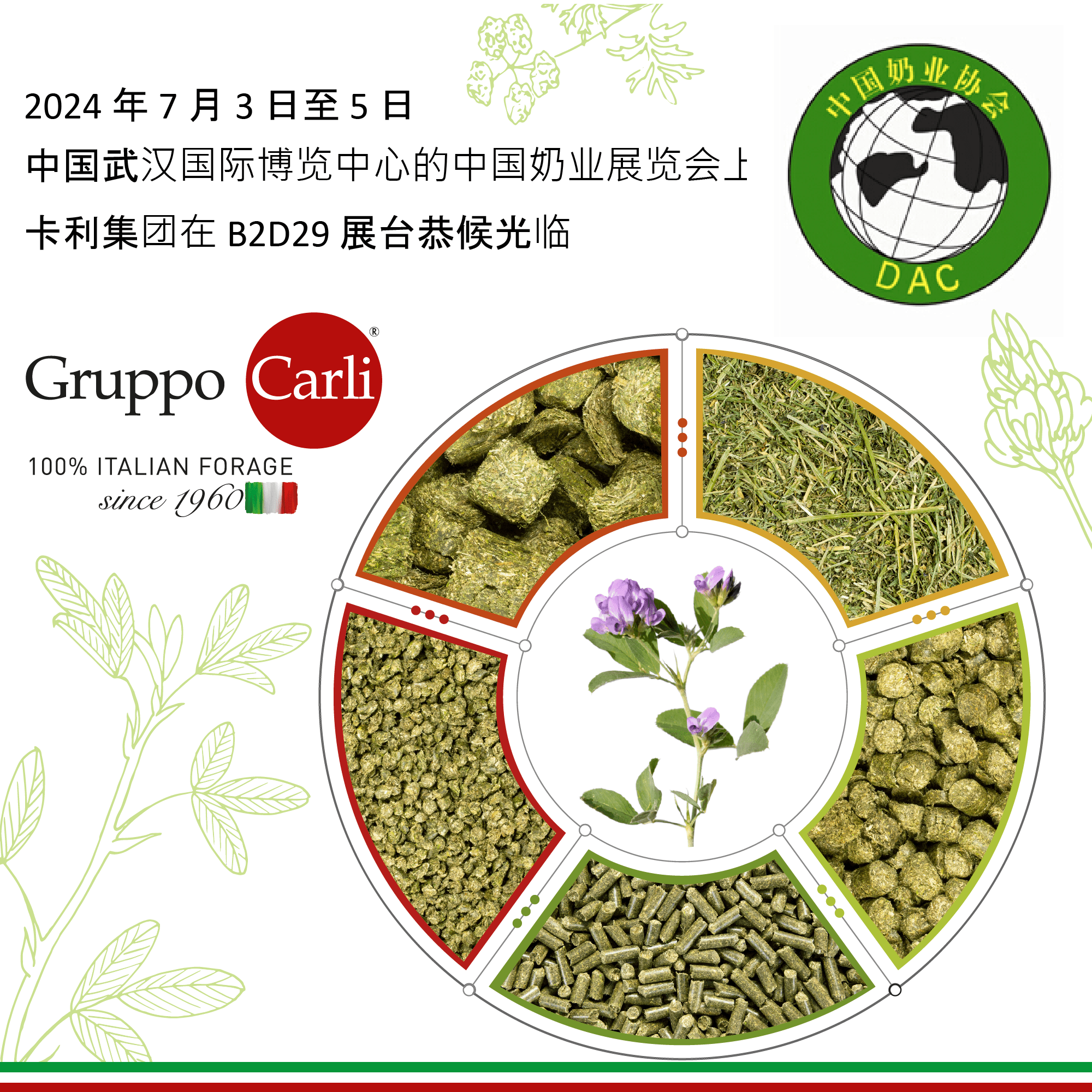 Gruppo Carli at Dairy China Exhibition 2025 Gruppo Carli