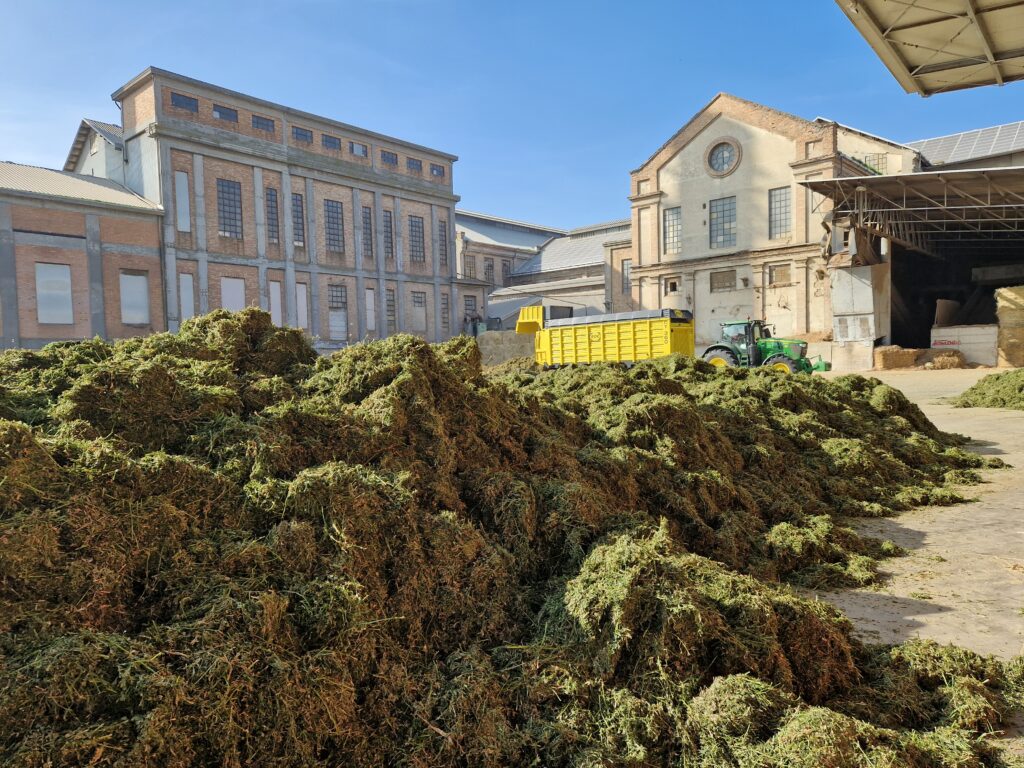 stabilimento gruppo carli