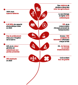 Grafica bilancio sostenibilità FR