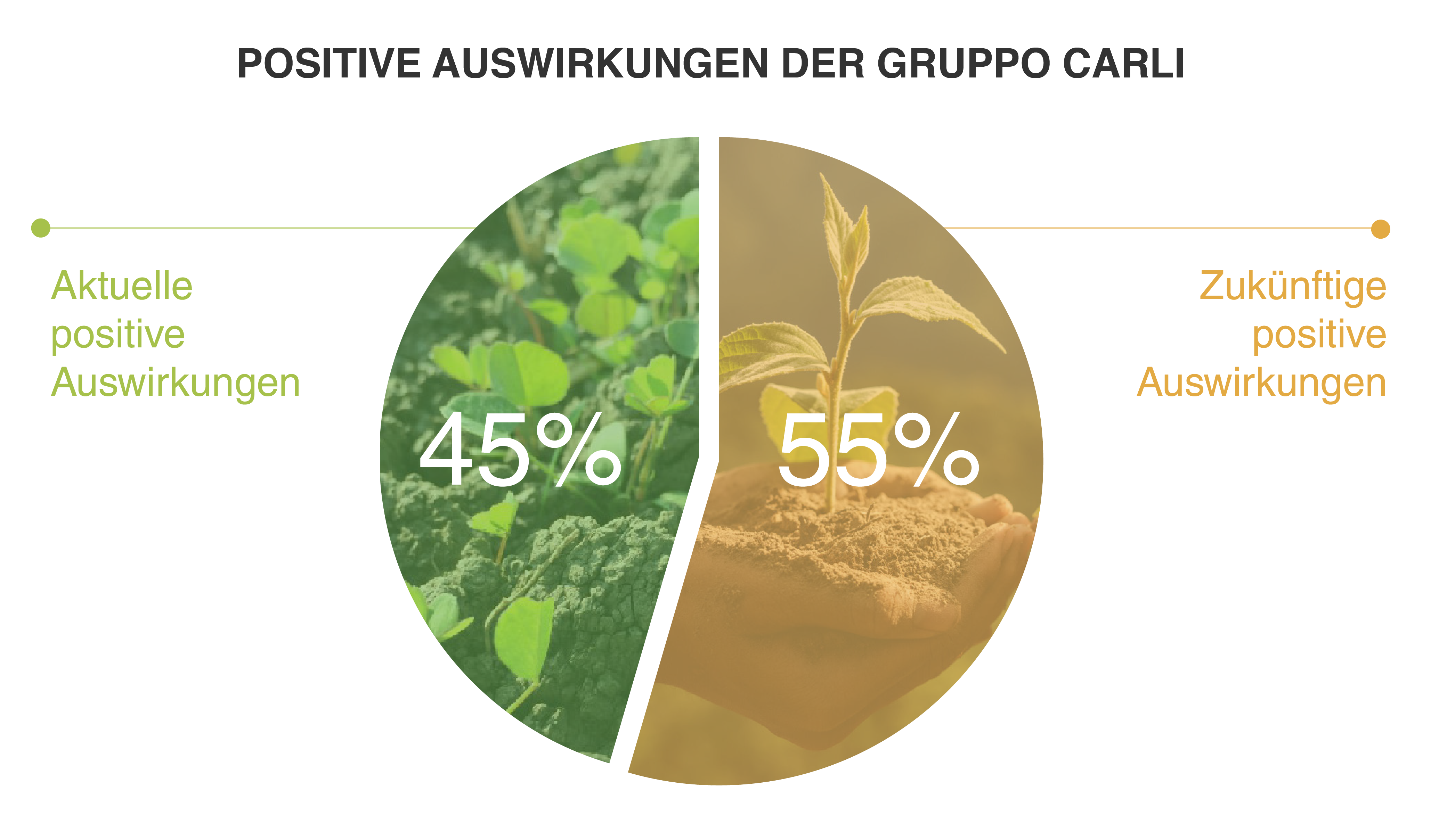 POSITIVE AUSWIRKUNGEN DER GRUPPO CARLI DE