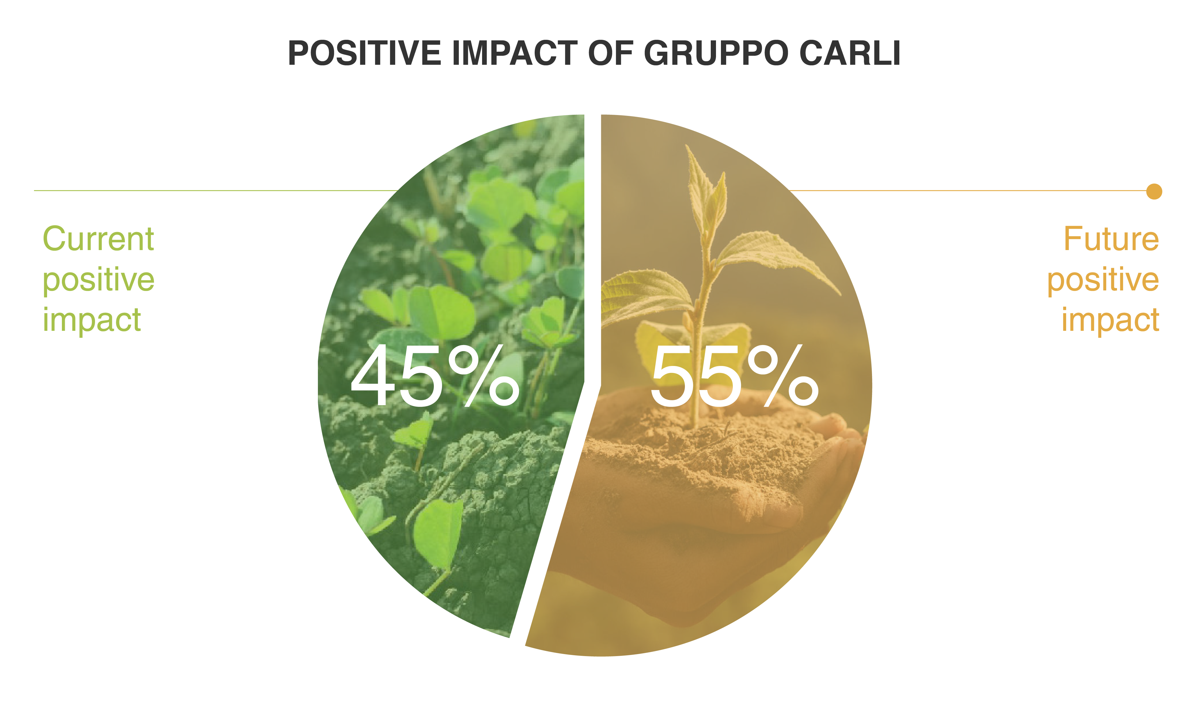 Positive impact of Gruppo Carli EN